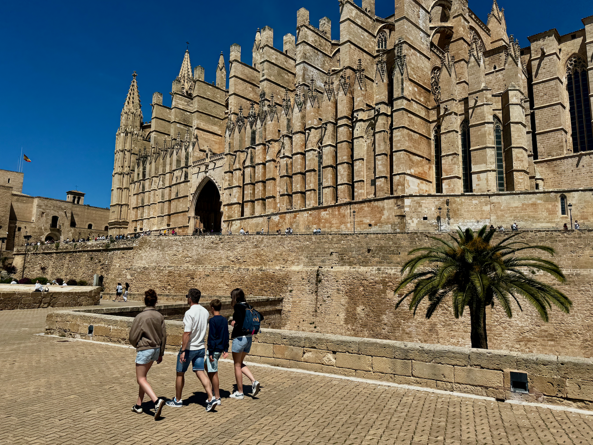 Day out in Palma (TikTok)