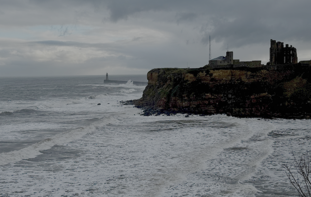 The Wild Sea (TikTok)